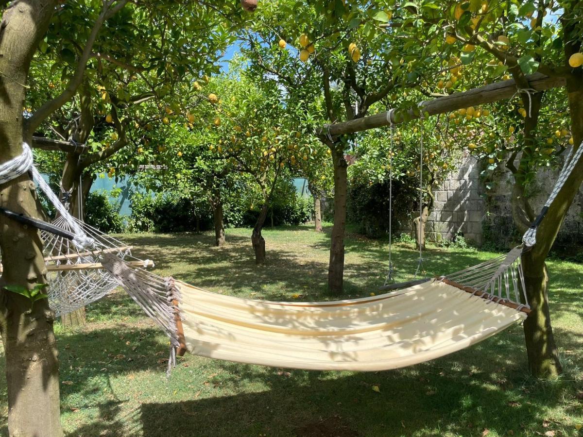 Casa Sorrento, Immerso Nel Verde A Pochi Passi Dal Centro Kültér fotó