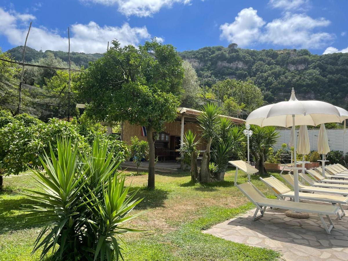 Casa Sorrento, Immerso Nel Verde A Pochi Passi Dal Centro Kültér fotó