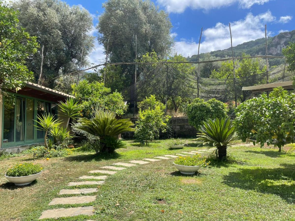 Casa Sorrento, Immerso Nel Verde A Pochi Passi Dal Centro Kültér fotó