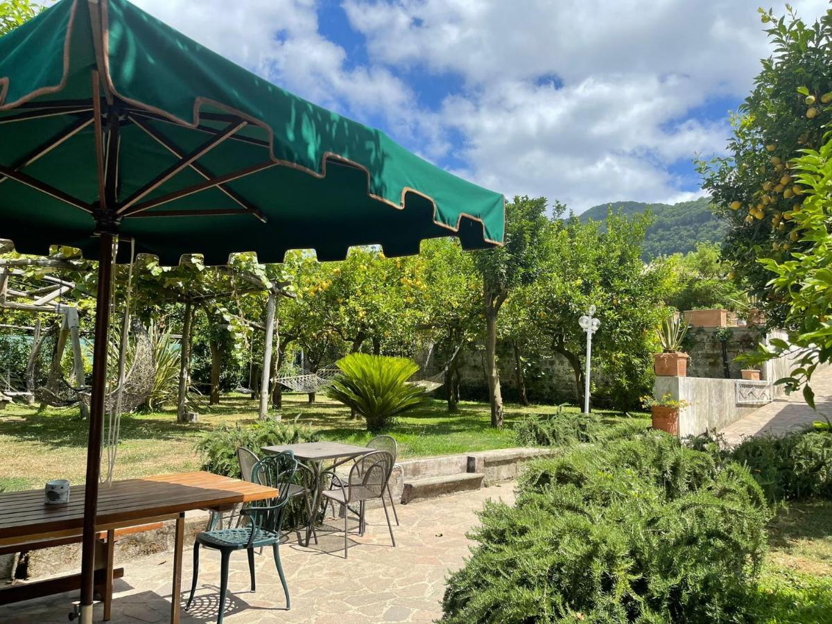 Casa Sorrento, Immerso Nel Verde A Pochi Passi Dal Centro Kültér fotó